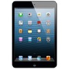Apple iPad mini 64Gb Wi-Fi черный - Камень-на-Оби