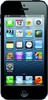 Apple iPhone 5 32GB - Камень-на-Оби